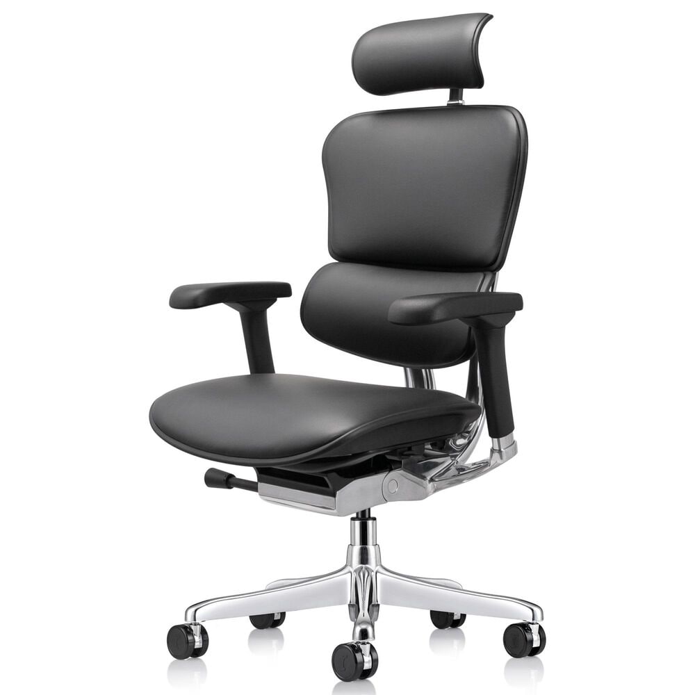 Raynor Group Ergohuman High Back Leather Executive Chair in Black, , large