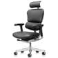 Raynor Group Ergohuman High Back Leather Executive Chair in Black, , large