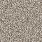 Shaw Imaginable I Carpet in Granite Dust, , large