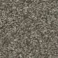 Shaw You Got This II Carpet in Rerooted Nature, , large