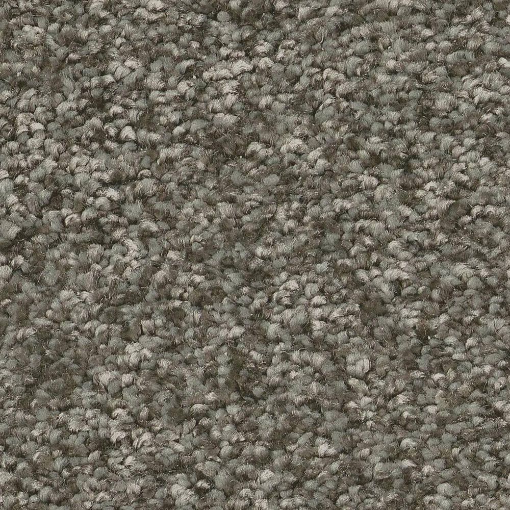 Shaw You Got This II Carpet in Rerooted Nature, , large