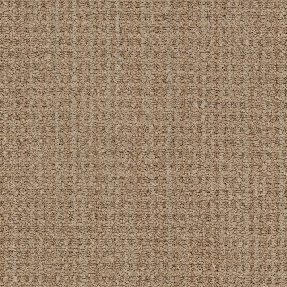 Masland Take It Easy Carpet in Monument, , large
