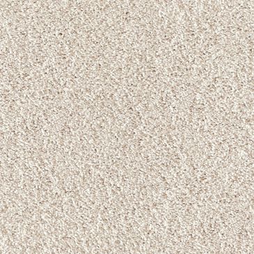 Dixie Home Swiss Alpine Carpet in Bulldog, , large