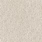 Dixie Home Swiss Alpine Carpet in Bulldog, , large