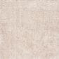 Safavieh August Shag AUG200D 2" x 13" Beige Runner, , large