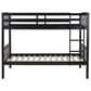 Linon Home Decor Perryton Twin Over Twin Bunk Bed in Sleek Black, , large