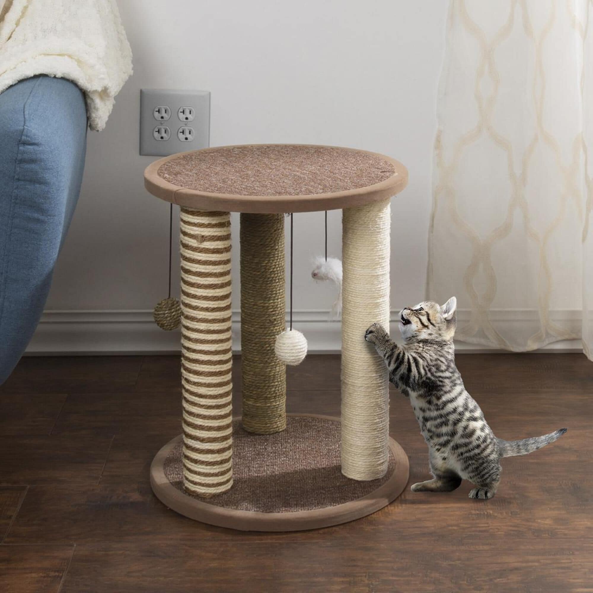 Timberlake Petmaker Cat Scratching Post with Perch NFM