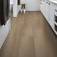 Shaw Vinyl Tile Northern Voyage 9 Napa 9" x 60" Luxury Vinyl Plank, , large