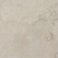 Dal-Tile Haddonstone Dawn Rectangle Cross Cut 12" x 24" Porcelain Tile, , large