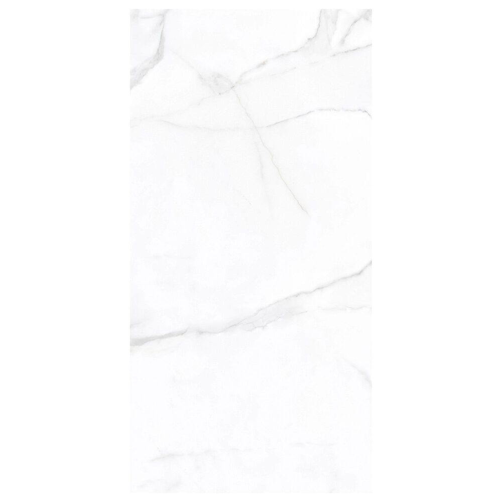 Shaw Majestic Classic 12" x 24" Porcelain Tile, , large