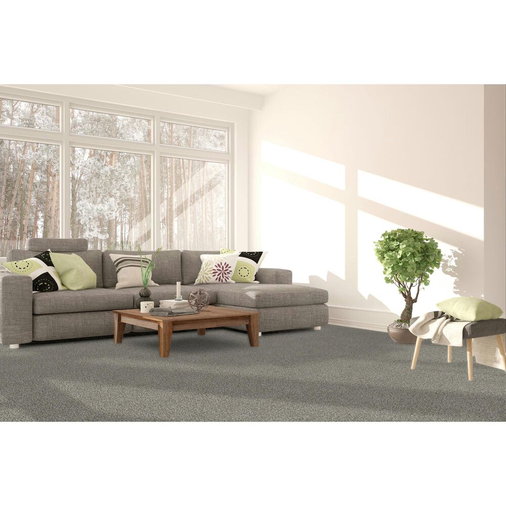 Dream Weaver Lucky Penny II Carpet in Elite, , large