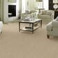 Anderson Tuftex Renoir Carpet in Bungalow, , large