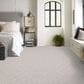 Anderson Tuftex Appreciation Carpet in Plainview, , large