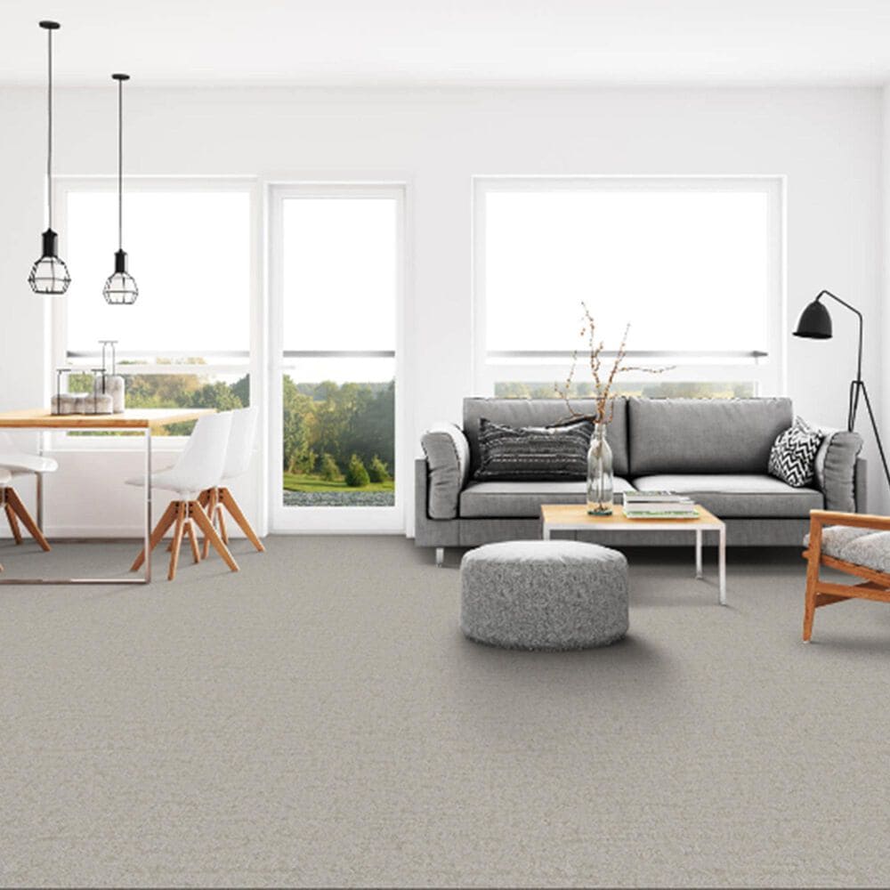 Dixie Home Genuine Carpet in Verified, , large