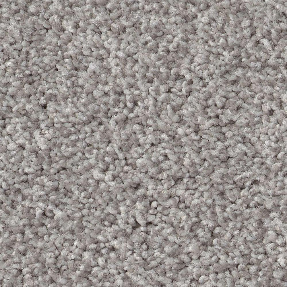 Shaw Live on Comfort Carpet in Spotlight, , large