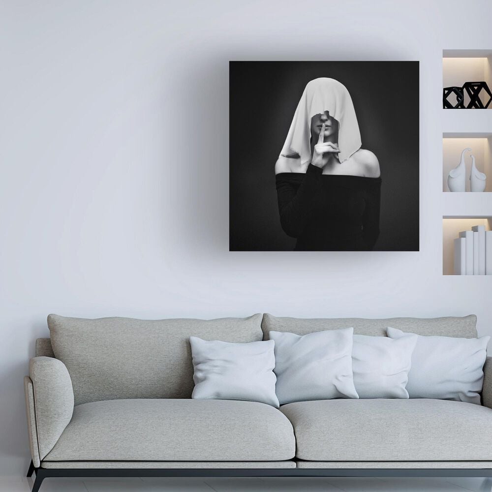 Timberlake &#39;Memento Mori&#39; 24&quot; x 24&quot; Canvas Art in Black/White/Grey, , large