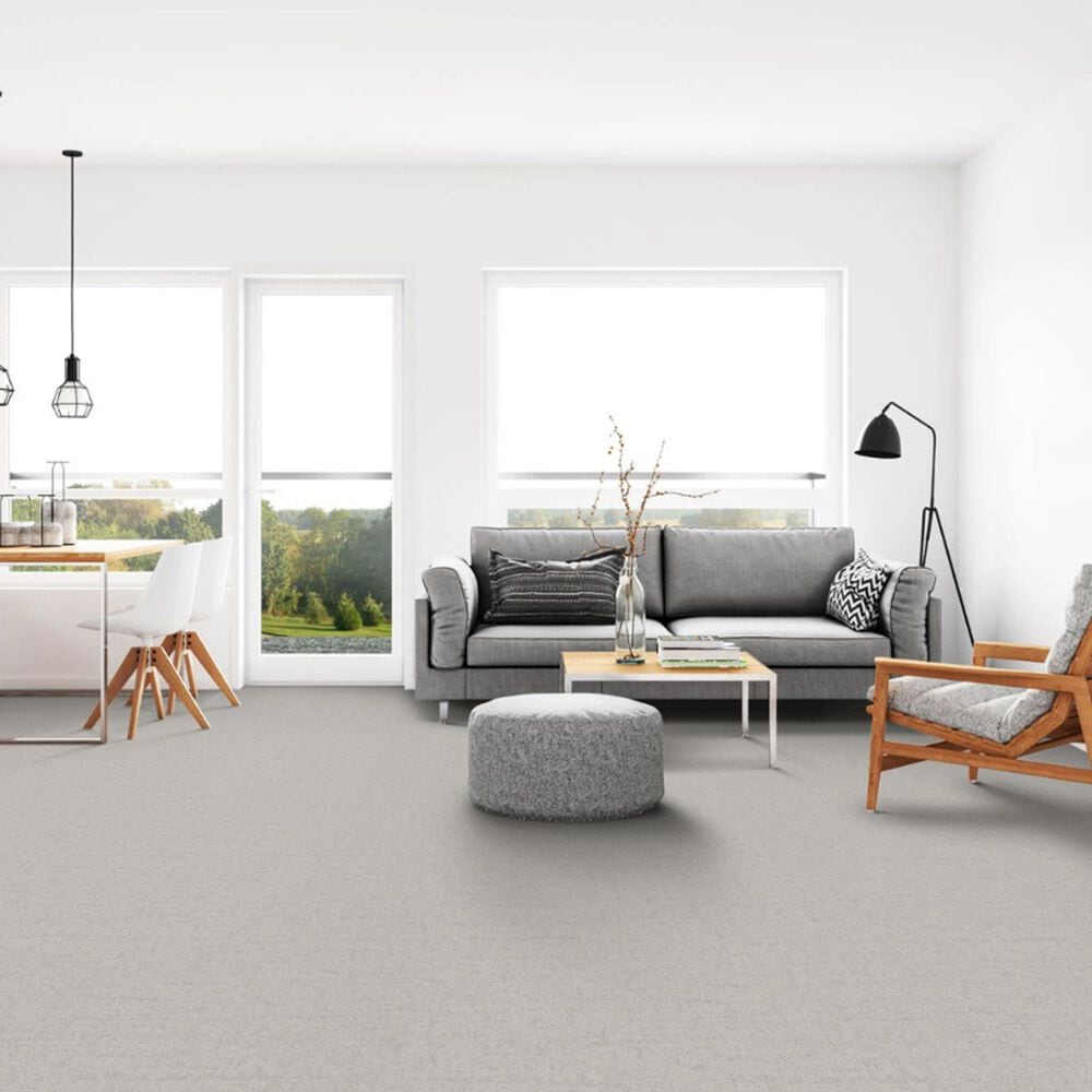 Dixie Home Genuine Carpet in Absolute, , large