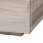 Baxton Studio Alvaro Storage Trunk with Hinged Lid in White Wash, , large