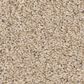 Anderson Tuftex Wyndham Estate Carpet in Down Home, , large