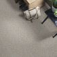 Shaw Simply the Best Cabana Life Carpet in Stone, , large
