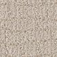 Shaw Path Home Carpet in Natural, , large