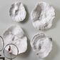 Uttermost Sea Coral Wall Art (Set of 4), , large