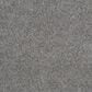 Dream Weaver Rustic Retreat II 4455 Carpet in Blueberry Field, , large
