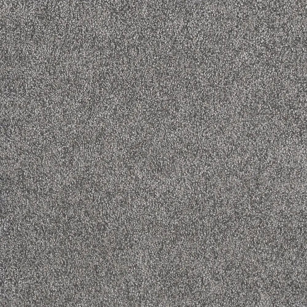 Dream Weaver Rustic Retreat II 4455 Carpet in Blueberry Field, , large