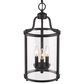 Golden Lighting Payton 3-Light Pendant in Matte Black, , large