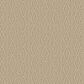 Anderson Tuftex Crochet Carpet in Hay Loft, , large