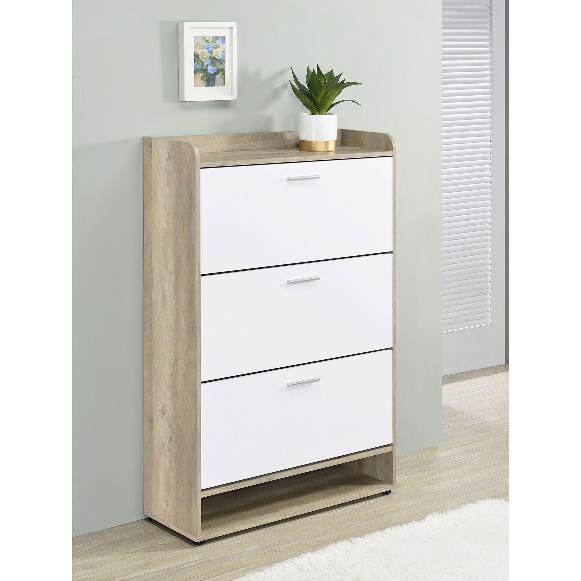 Coaster Denia 3-Tier Shoe Cabinet in Antique Pine and White
