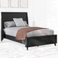 Ashley Danziar Full Panel Bed in Black, , large