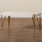 Baxton Studio Kassa Coffee Table in White and Brushed Gold, , large