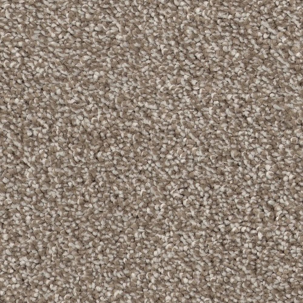 Philadelphia Delicate Feel II Carpet in Mocha, , large