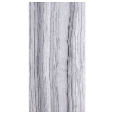 Emser Chronicle F02CHRORE1224V2 Record 12" x 24" Porcelain Tile, , large