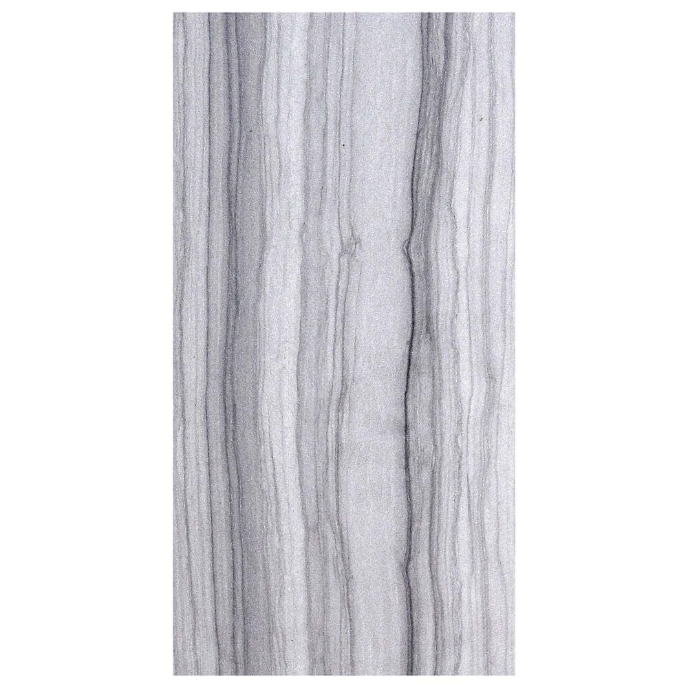 Emser Chronicle F02CHRORE1224V2 Record 12" x 24" Porcelain Tile, , large