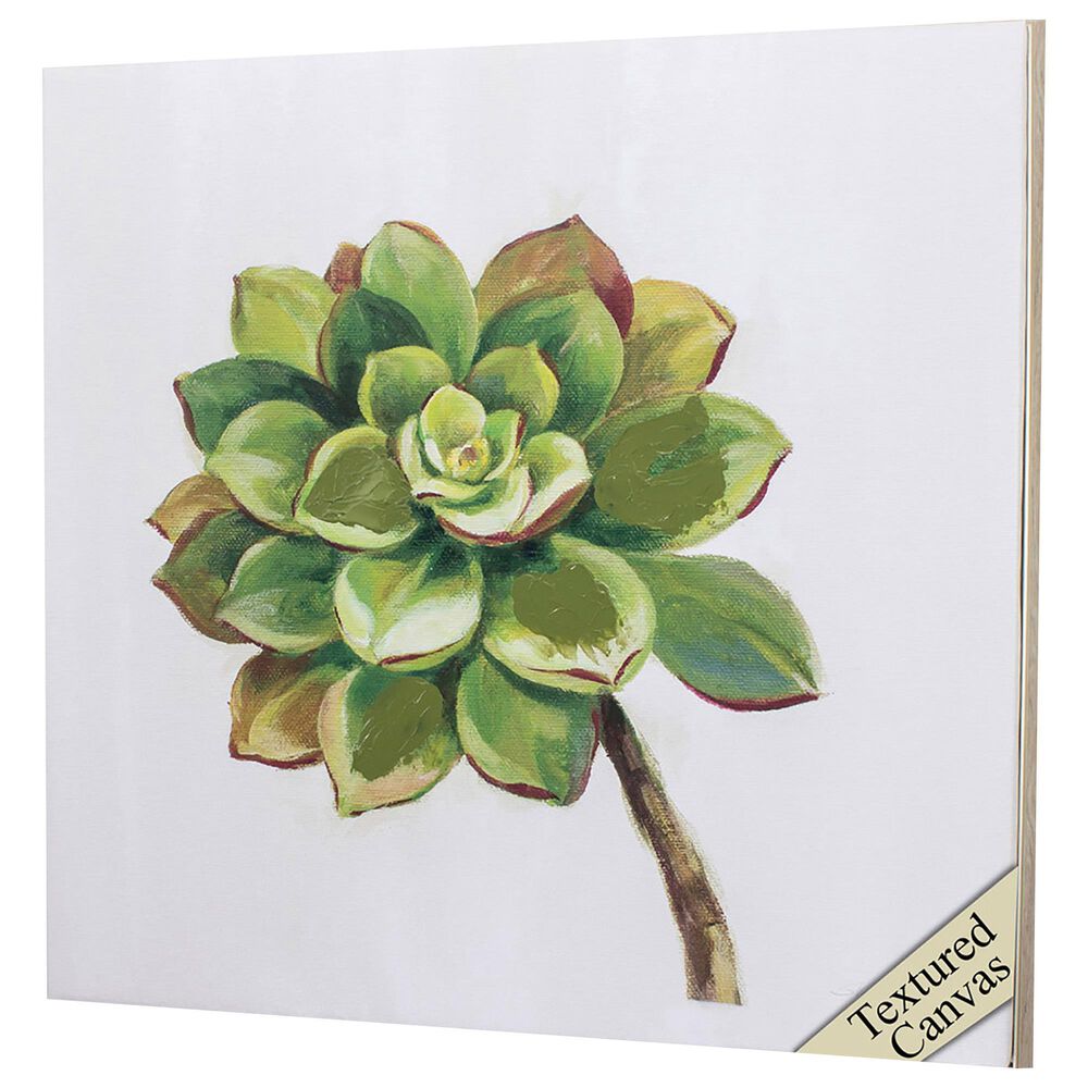 Propac Succulents III Wall Art in Green, , large