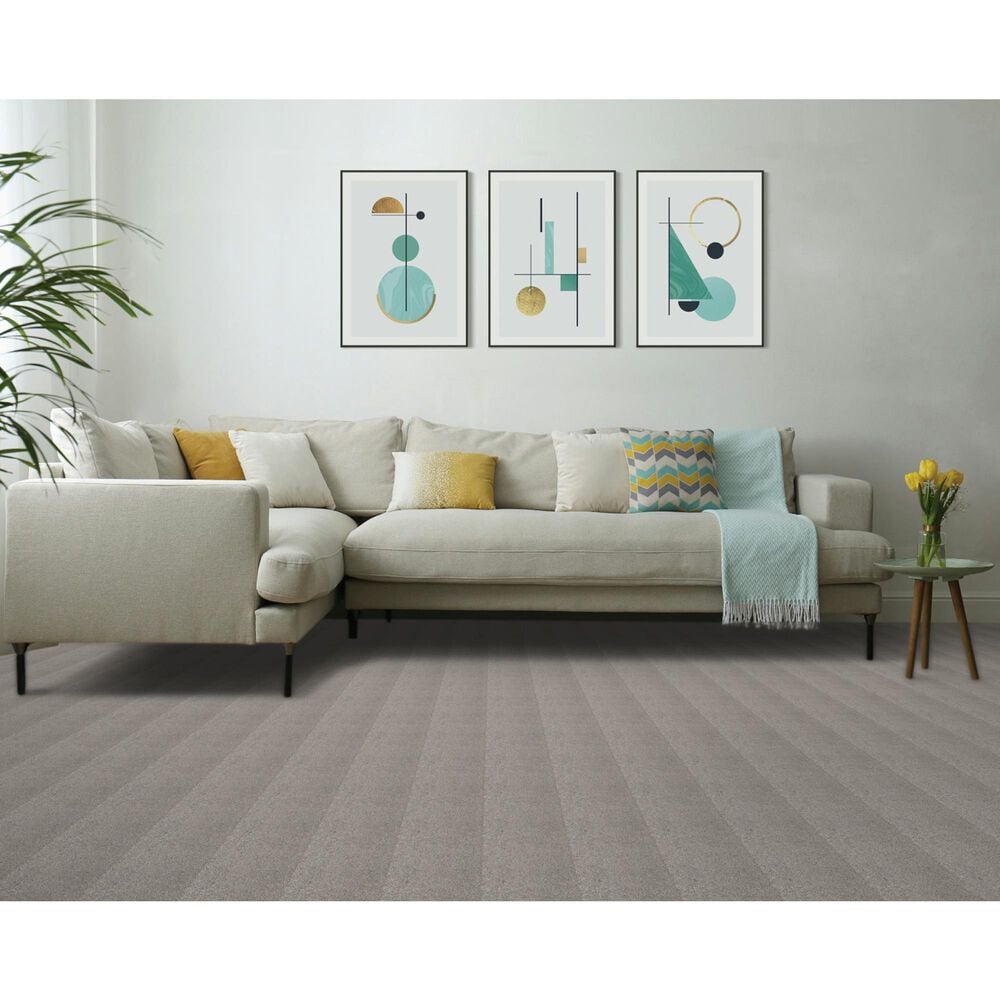 Mohawk Canine Comfort Carpet in Higway, , large