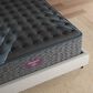 Beautyrest World Class Level Four Medium Twin Mattress, , large