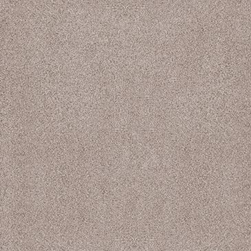 Anderson Tuftex Sumptuous Texture Carpet in Granite Dust, , large