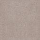 Anderson Tuftex Sumptuous Texture Carpet in Granite Dust, , large