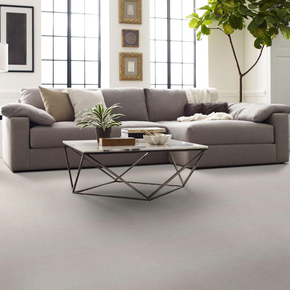 Shaw Your Comfort I Carpet in Whitewashed Frame, , large