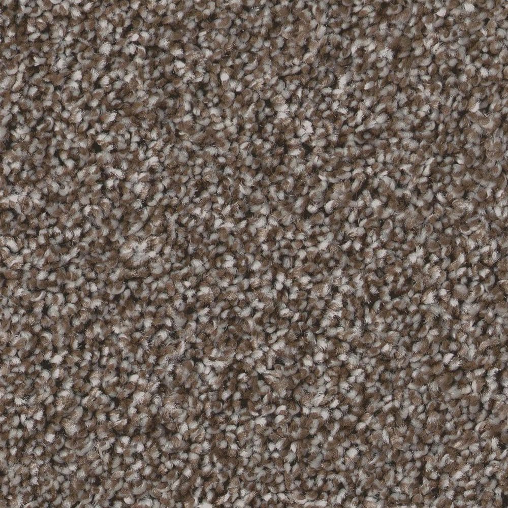 Shaw Imaginable III Carpet in French Roast, , large