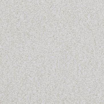Masland San Juan Carpet in Trustworthy, , large