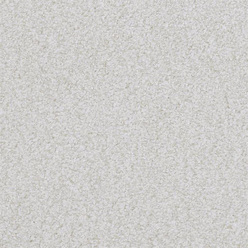 Masland San Juan Carpet in Trustworthy, , large