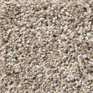 Shaw After It II Carpet in Neutral Ground, , large