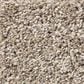Shaw After It II Carpet in Neutral Ground, , large