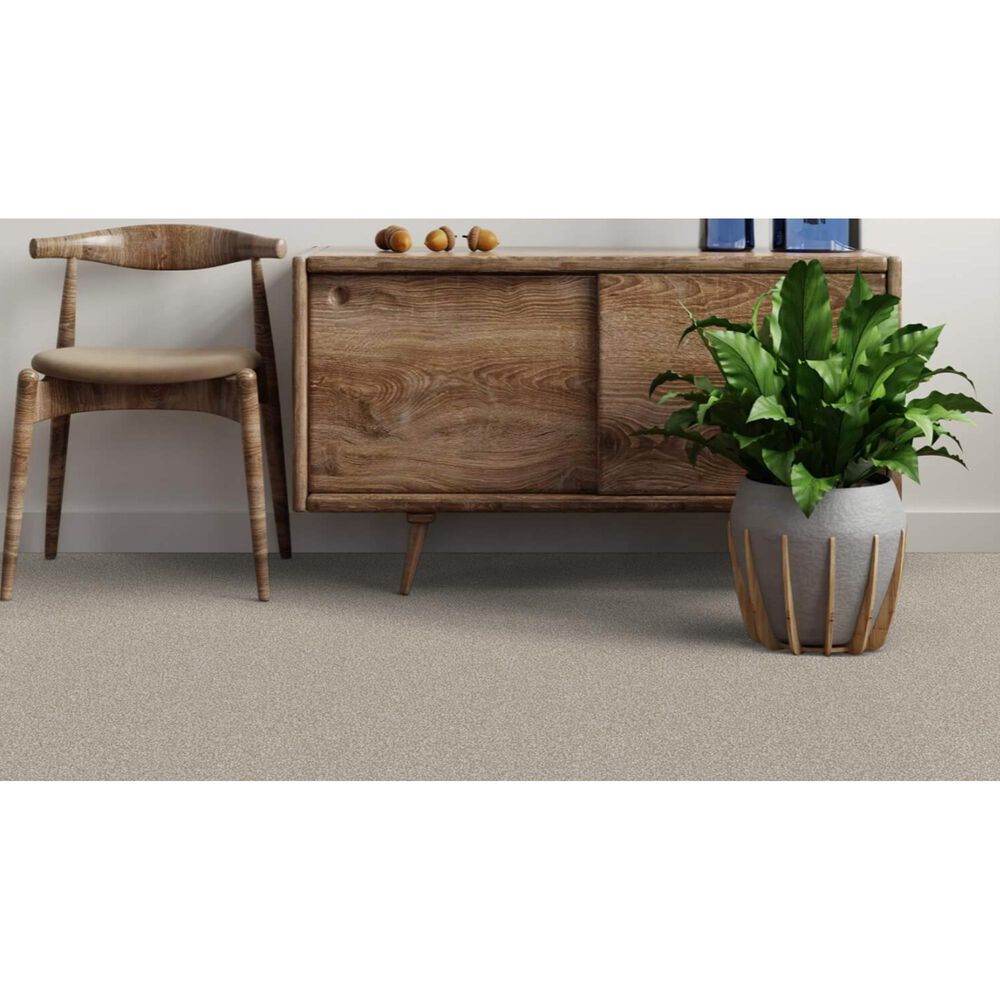 Dixie Home Bella Carpet in Sheltie, , large
