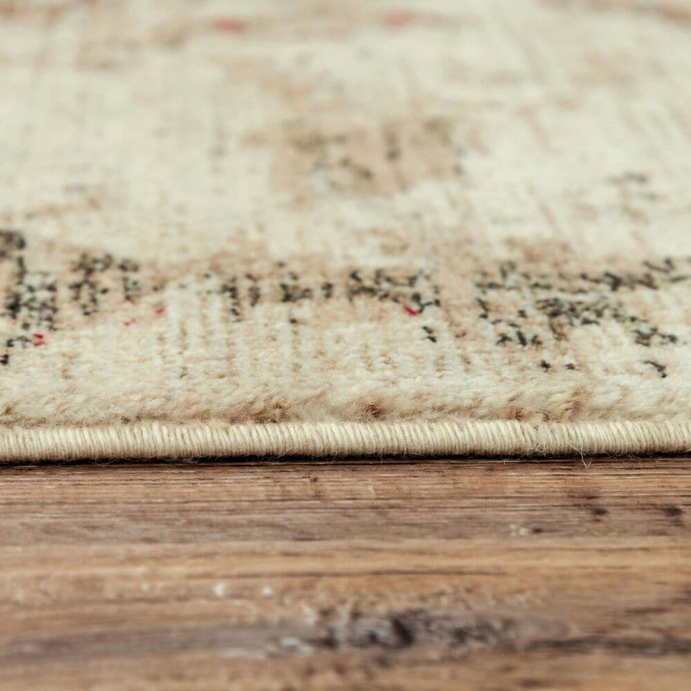 RIZZY Gossamer Beige, Brown and Rust 4' x 6' Area Rug, , large