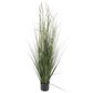 Maple and Jade 60" Indoor/Outdoor Tall Artificial Onion Grass with Black Plastic Pot in Green, , large